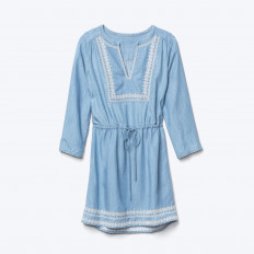 Tencel embroidered dress