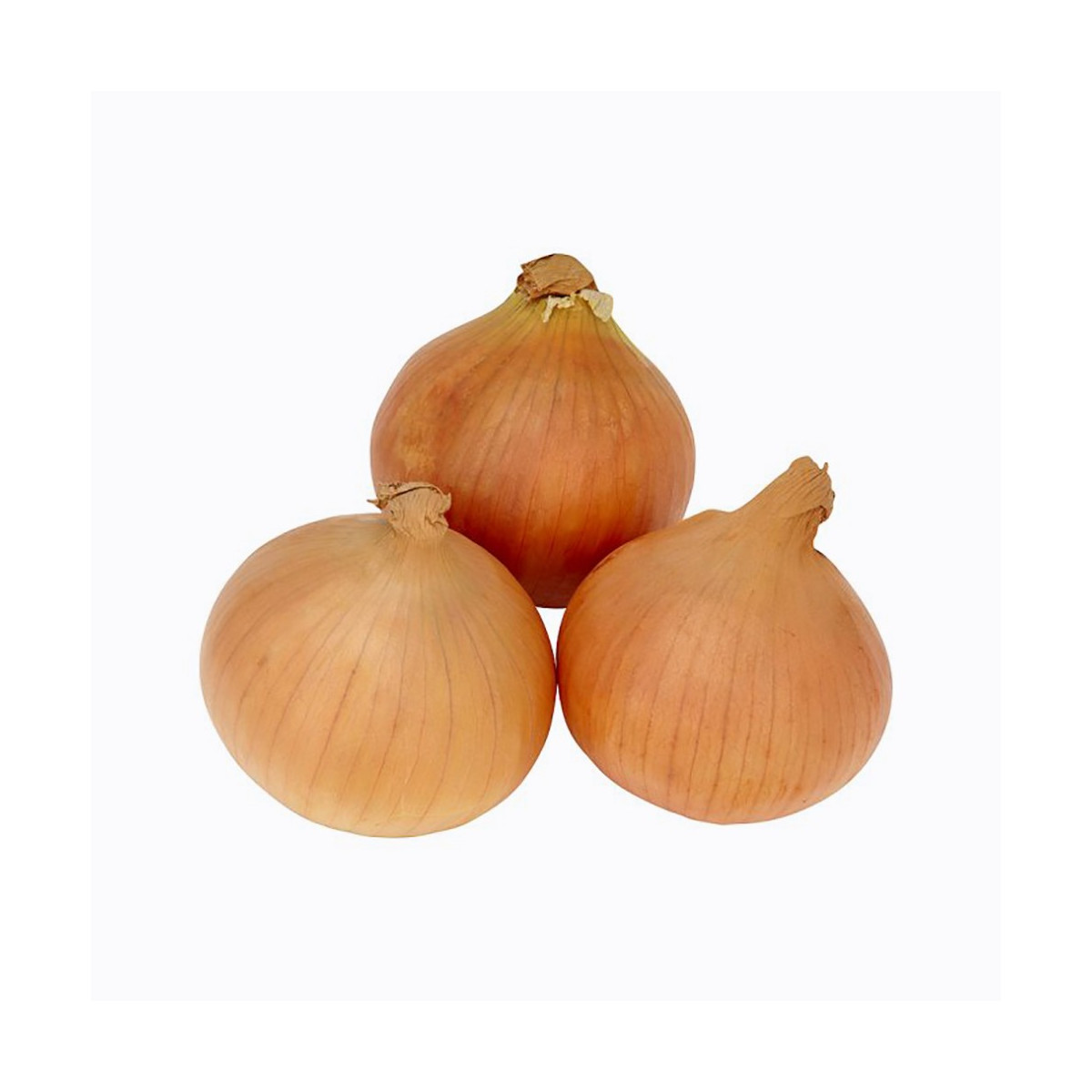 Tesco Brown Onions Loose