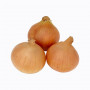 Tesco Brown Onions Loose