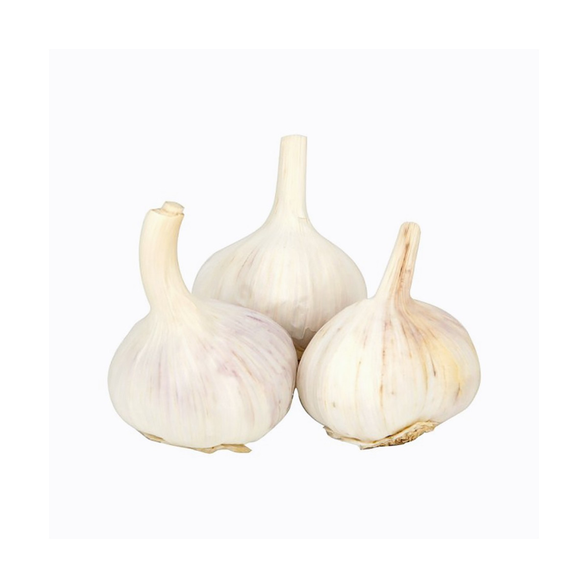 Tesco Garlic Each