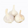 Tesco Garlic Each