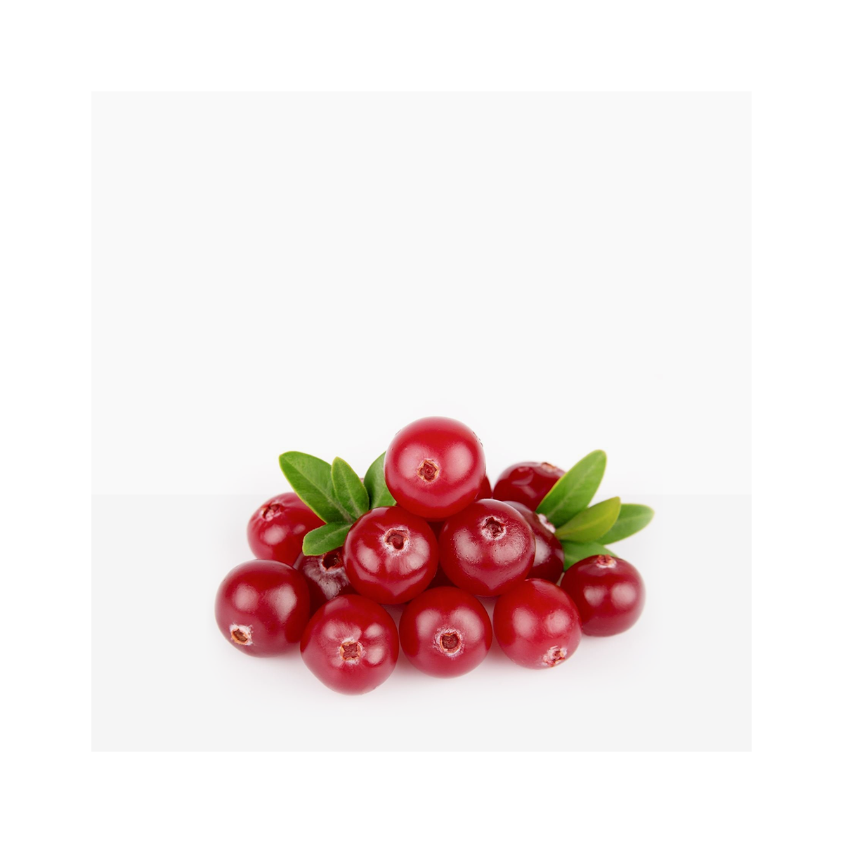 Cranberry