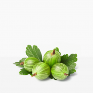 Gooseberry