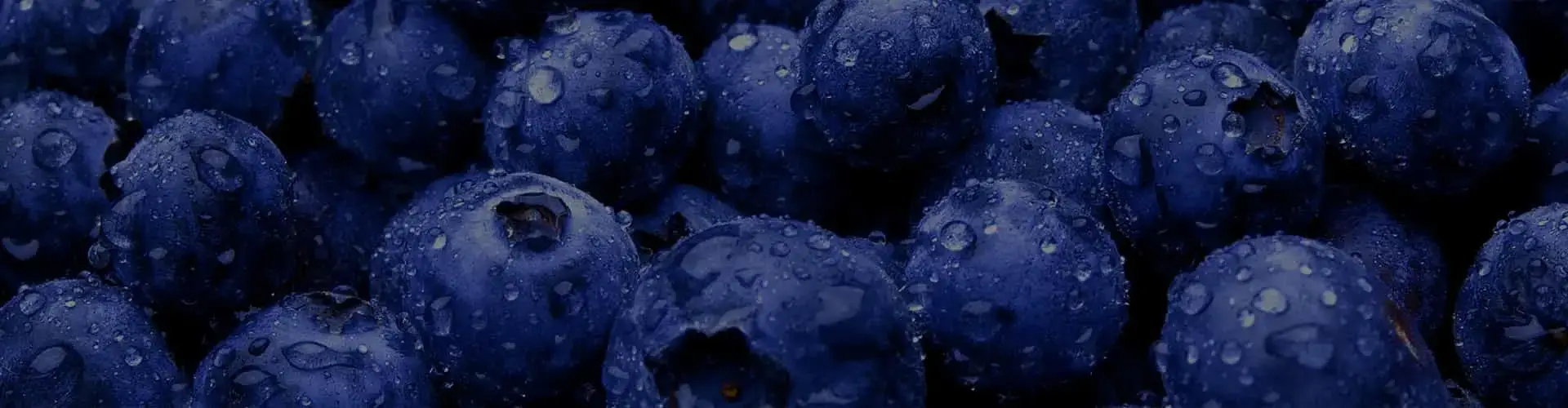 Berries & Blueberry image