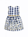 Girls Blue Check Dress with Daisies